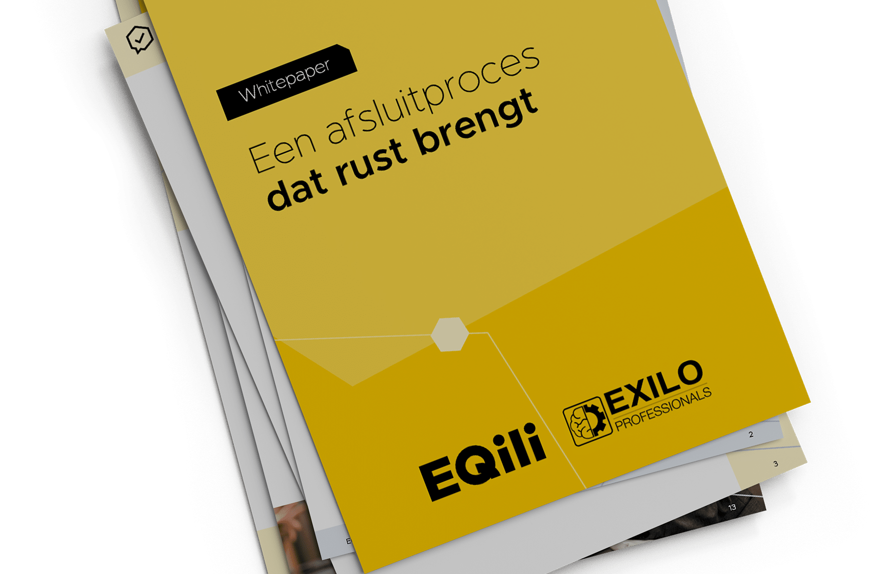 Whitepaper Exilo en EQili